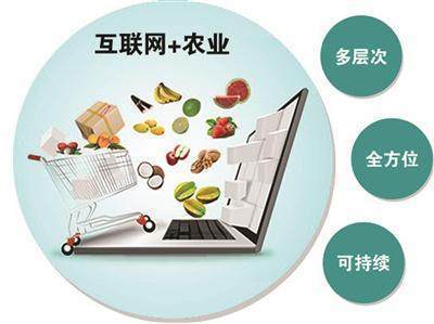 互聯(lián)網(wǎng)技術(shù)賦能農(nóng)業(yè)現(xiàn)代化 智慧農(nóng)業(yè)網(wǎng)頁設(shè)計(jì)解析